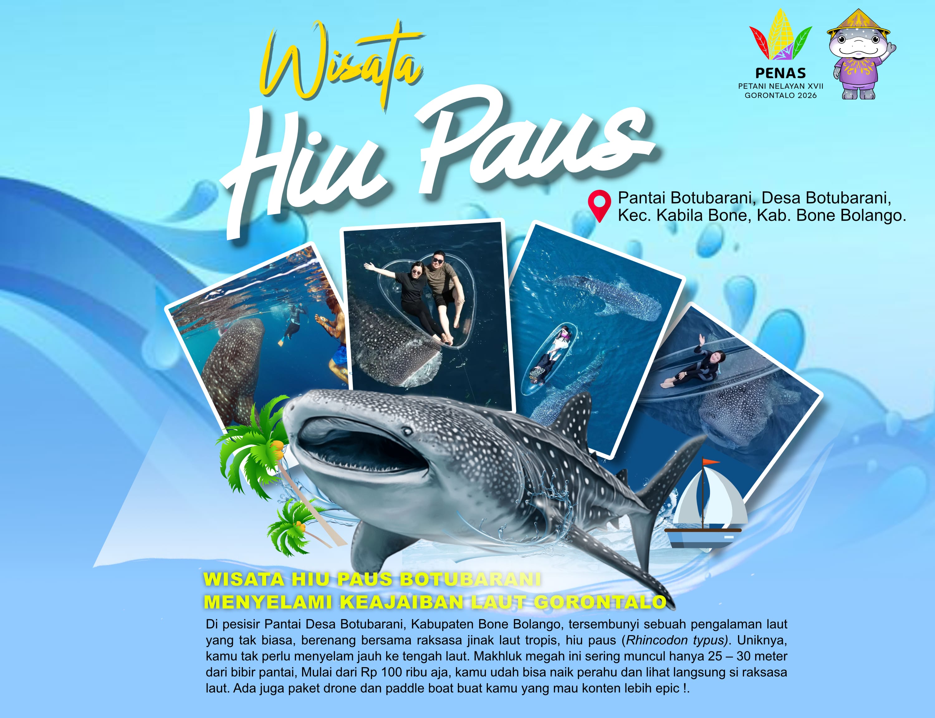 hiu-paus