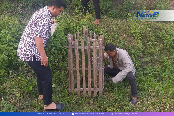 Cegah Tanaman Mati Saat Kemarau, Dinsosdukcapil Gorontalo Intensifkan Perawatan Pohon di Jalur GORR